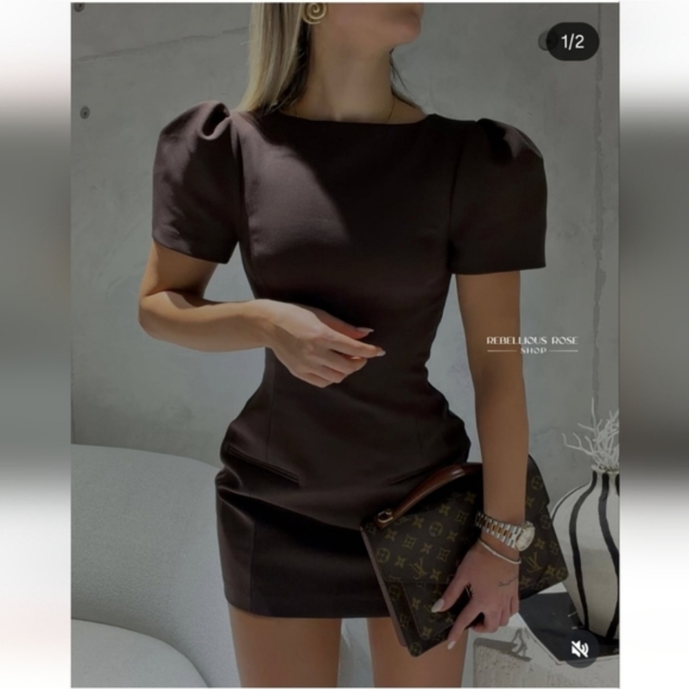 Zara Short Pleated Pocket Dress Brown